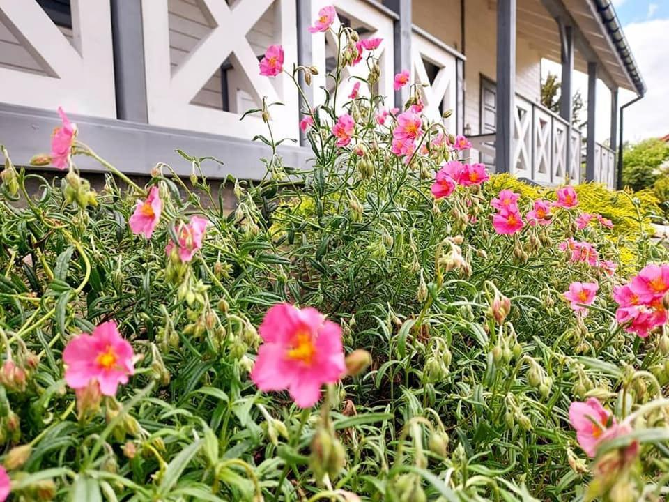 Nadmorz Sztutowo Villa Eksteriør bilde