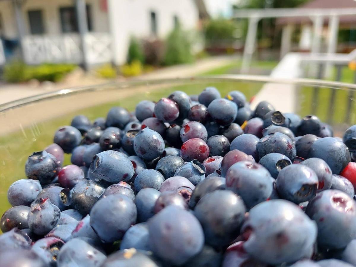 Nadmorz Sztutowo Villa Eksteriør bilde