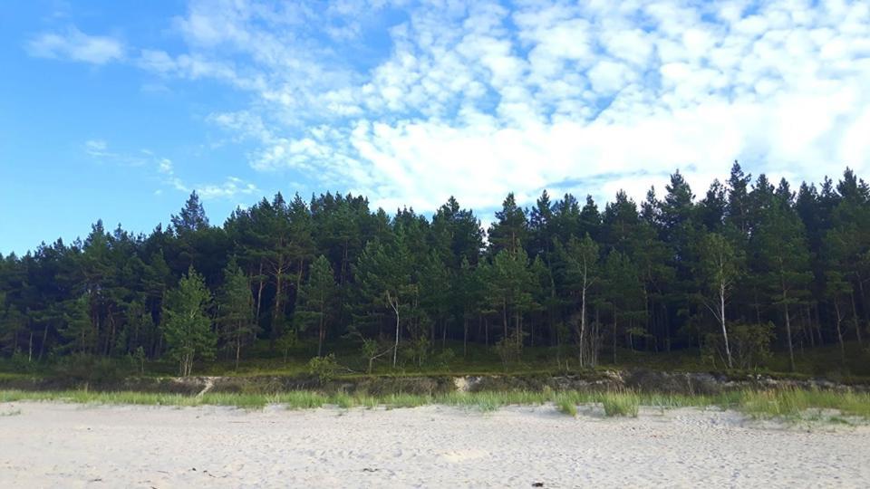 Nadmorz Sztutowo Villa Eksteriør bilde